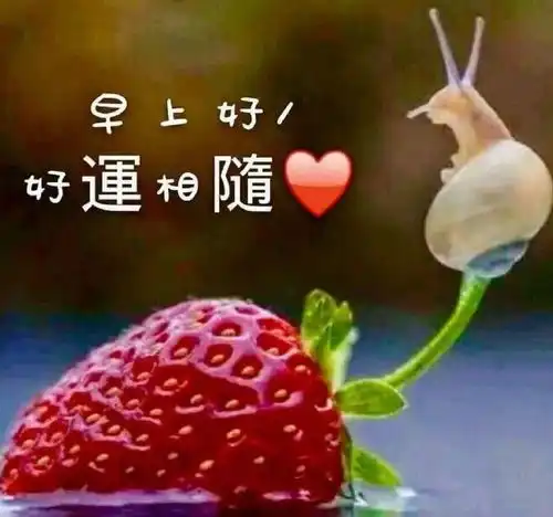  2021早上好群发漂亮动态图片祝福语,清晨问候早安动态祝福图片