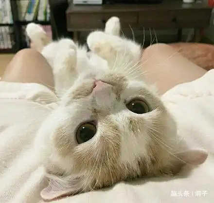 搞笑动态趣图gif不陪我,老打游戏再这样就拔电源  搞笑动态趣图gif不陪我,老打游戏再这样就拔电源