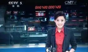  央视体育主播神似赵丽颖长相甜美外表清新图