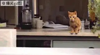 同志们,永别啦嗯,怎么你们都在这  同志们,永别啦嗯,怎么你们都在这