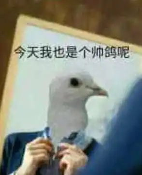  钢铁直男,真是全人类的宝藏