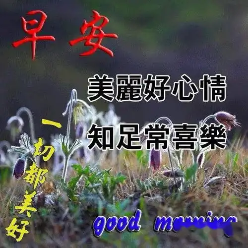  非常漂亮美女早安动态表情图片早上好发朋友圈动态祝福图片大全