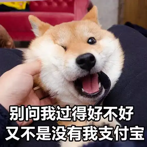  就要搞事情又要发红包所以奥山铂悦府你到底多有钱...