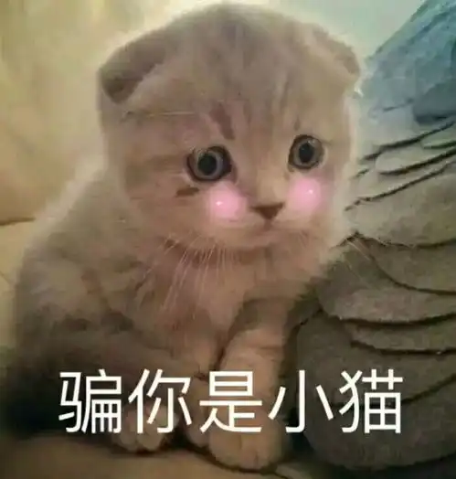 点子表情包熊猫