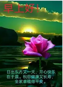  非常好看的早上好的问候语句子早上好图片祝福语录