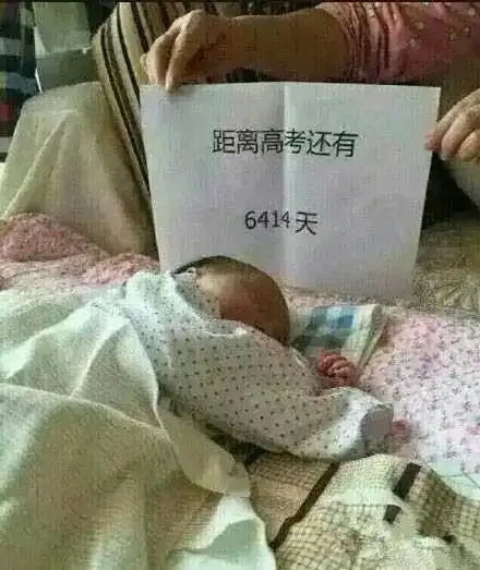 搞笑gif就怕媳妇哪天卖废品,完了把废品钱给你当零花钱  搞笑gif就怕媳妇哪天卖废品,完了把废品钱给你当零花钱