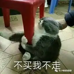 猫狗子你再敢偷吃我的粮,等我吃完这口就送你上天  猫狗子你再敢偷吃我的粮,等我吃完这口就送你上天