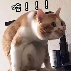 哈哈喵开黑的表情包唱见