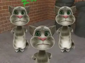 会说话的汤姆猫dh版  会说话的汤姆猫dh版