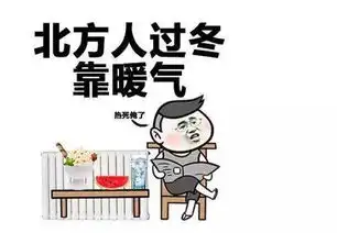  你好,请问北方单身的小哥哥,我能嫁给你家的暖气吗