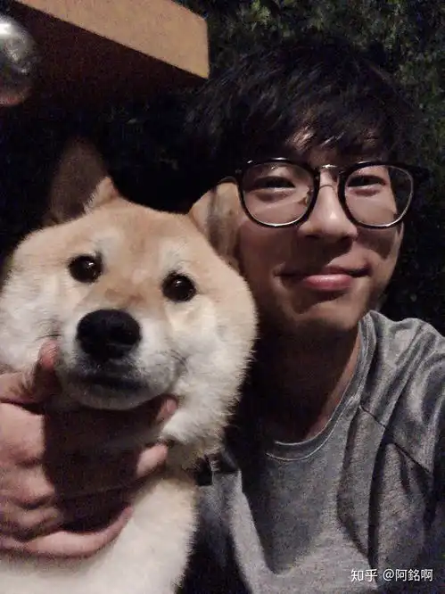  给你家柴犬拍过哪些好看的照片