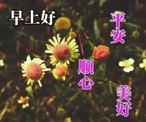  2022冬季早上好风景图片大全唯美早上好动态表情图片大全