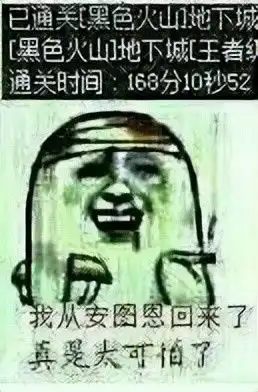  dnf有趣的表情包乌龟篇