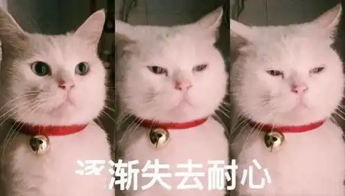  雅思复考推出新规定部分考点临时变动