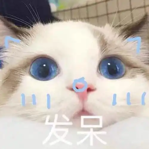 套路表情包一套猪猫咪