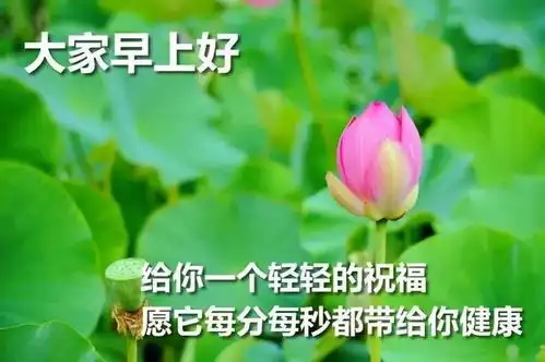  早上好祝福图片早安温馨祝福语好看的图片带字