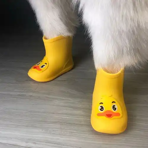 有趣可爱  有趣可爱