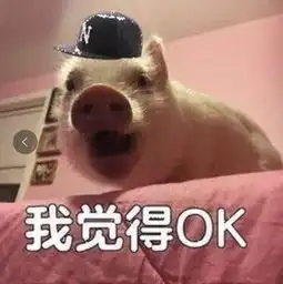  五峰养殖生猪的朋友,这些信息你得知道