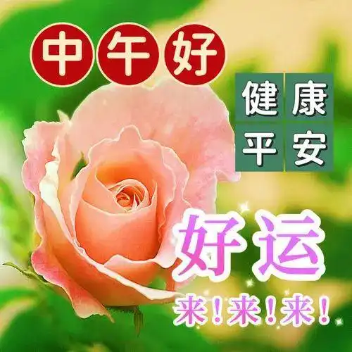  中午好图片大全,中午好祝福,午安问候,快乐常伴