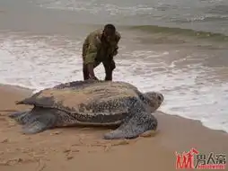  牛人另类恶搞方式让人崩溃7
