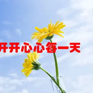 今天早晨西宁地区  今天早晨西宁地区