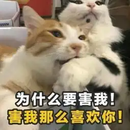  腾讯视频