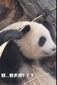  gif丨同学,你怎么这么有才华这都被你想到了