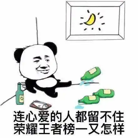 没你不行熊猫头表情包作