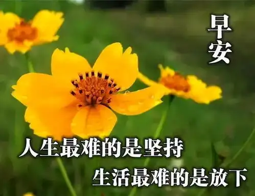  早上好问候语动态表情图文字,微信新的漂亮祝福语图片