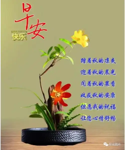  2023年9月2日早安温馨表情包创意祝福图片问候祝福语精选快乐清晨幸福早上好网易订阅