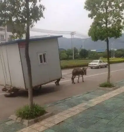  搞笑gif对嘛你把黑板烧坏了,咱们还怎样上课