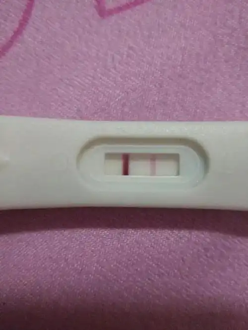  能吓死男朋友的套路恶搞表情图我怀了你的崽,不信你看看