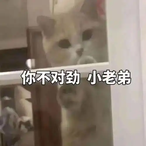  冯小刚苍蝇馆吃饭接地气对赌失败赔了2.35亿,骂观众垃圾的小刚炮不响了