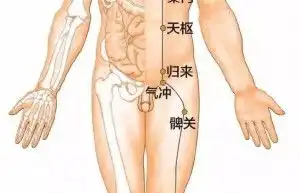  穴位养生