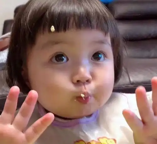 赵丽颖和冯绍峰领证炸出了无数逗比网友,看完简直哈哈哈哈  赵丽颖和冯绍峰领证炸出了无数逗比网友,看完简直哈哈哈哈