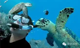 约会世界最美海滩,这个妹撩得我给100分