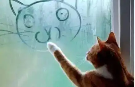 发几个笑话,一个比一个好笑,专治不开心  发几个笑话,一个比一个好笑,专治不开心