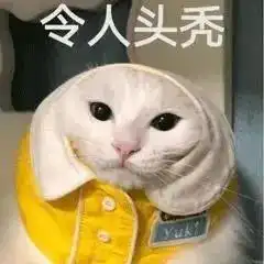  妈妈扎紧点,漂亮丨第130期喵表情