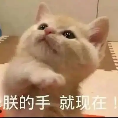  下面的表情包超好看点开图片即可微信头像我要个性网