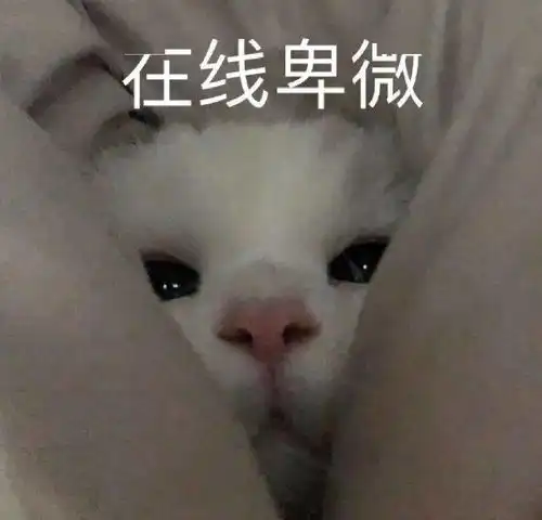 全是我的错表情包等一下