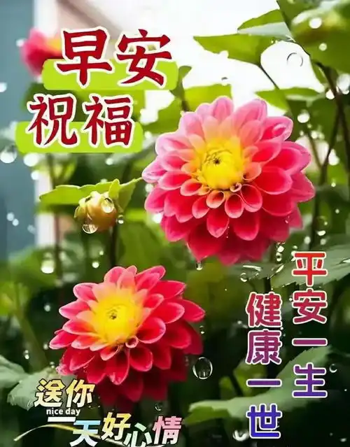  2024.5.14周一早上好,今日最新漂亮早安问候祝福图片