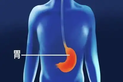 胃疼位置图 胃疼位置图