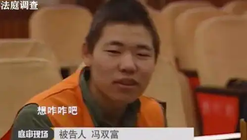  因上门提亲遭拒,河南小伙14刀杀害女友,庭审嚣张称为了好玩