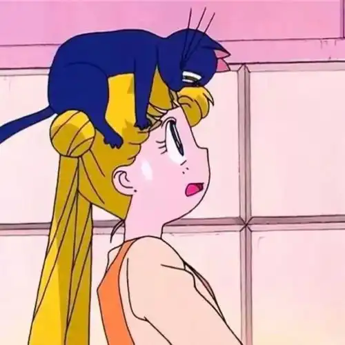 今日头像推荐,221  今日头像推荐,221