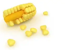  有趣的玉米抱枕玉米粒可以单独拆下