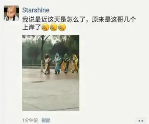 我说最近怎么老下雨,原来是这哥几个上岸了哇哈哈哈