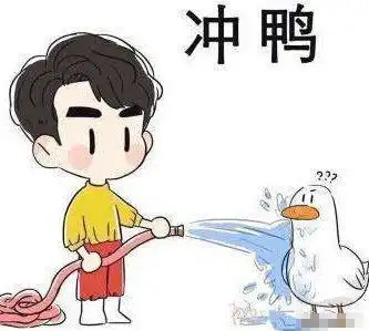  冲鸭表情包大全