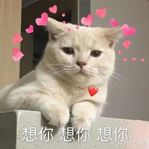  女朋友说想你了,要怎么回答好