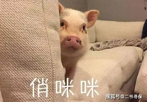  这类产品的续保条款悄咪咪的进行了修改,你可能还被蒙在鼓里
