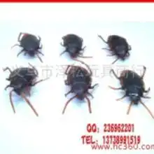 仿真蟑螂玩具价格仿真蟑螂玩具批发仿真蟑螂玩具厂家hc360慧聪网  仿真蟑螂玩具价格仿真蟑螂玩具批发仿真蟑螂玩具厂家hc360慧聪网